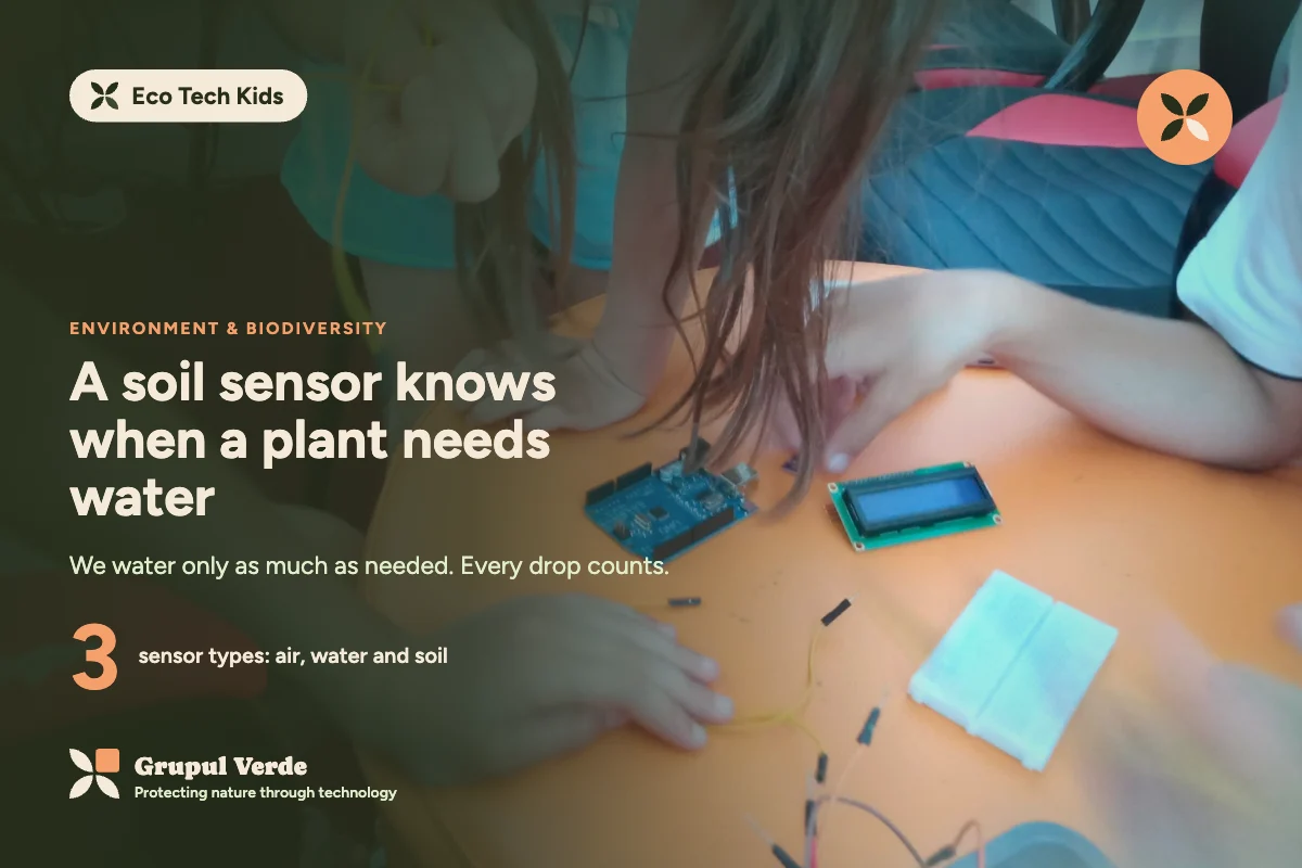 A soil sensor knows when the plant needs water. Eco Tech Kids, Environment & biodiversity · Asociația Grupul Verde.