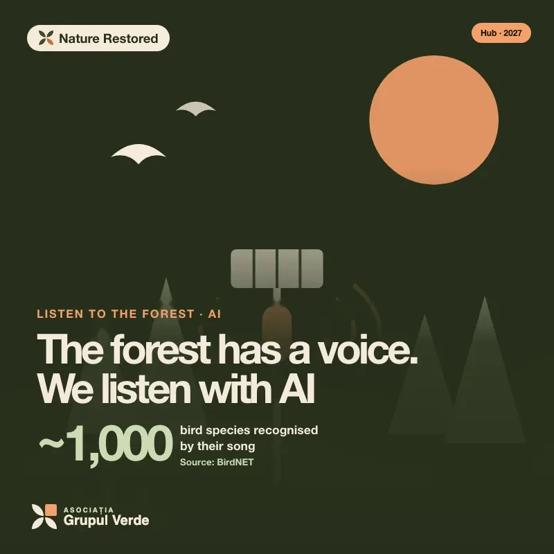 Illustration: The forest has a voice. We listen with AI — Nature Restored, Green Innovation Hub