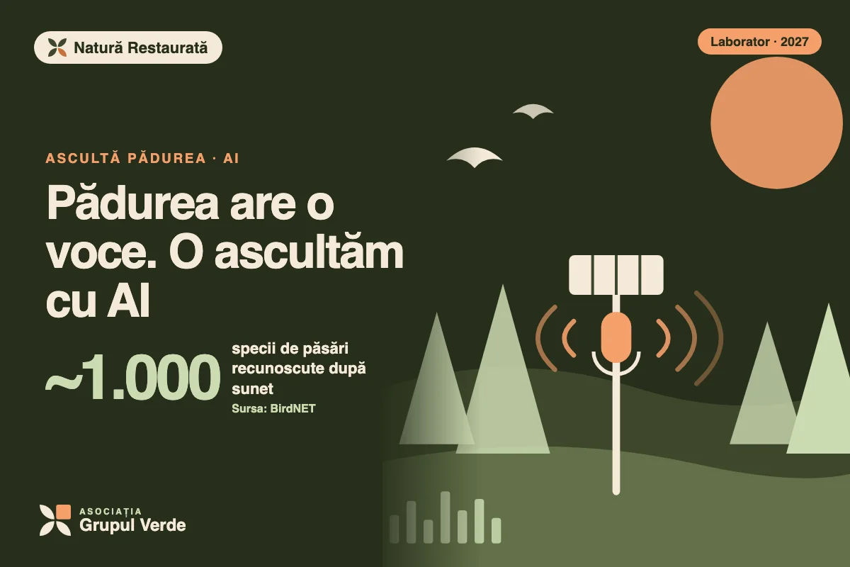 Pădurea are o voce. O ascultăm cu AI. Natură Restaurată — inițiativă a Laboratorului de inovare socială, Asociația Grupul Verde (ilustrație).
